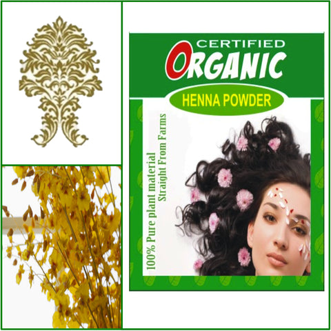 ONE Box. Certified Organic Henna. Golden Brown Hair Color. 100g.