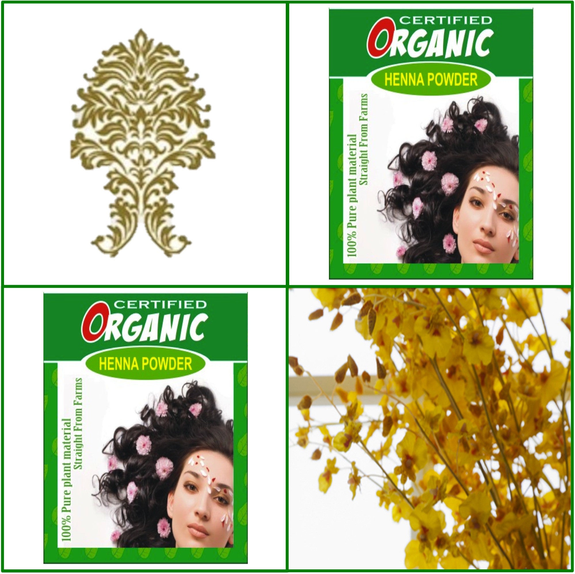 2 Boxes. Certified Organic Henna. Golden Brown Hair Color. 100g Ea.